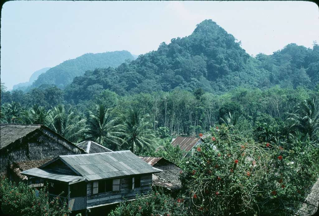 Borneo (Sabah & Sarawak)